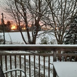 Meet your Posher, Kyla